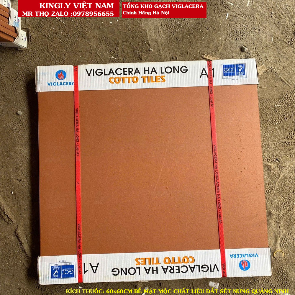 Gạch COTTO VIGLACERA HẠ LONG 60X60 ĐỎ NHẠT MỘC A1 | Gạch đỏ lát sân 60x60